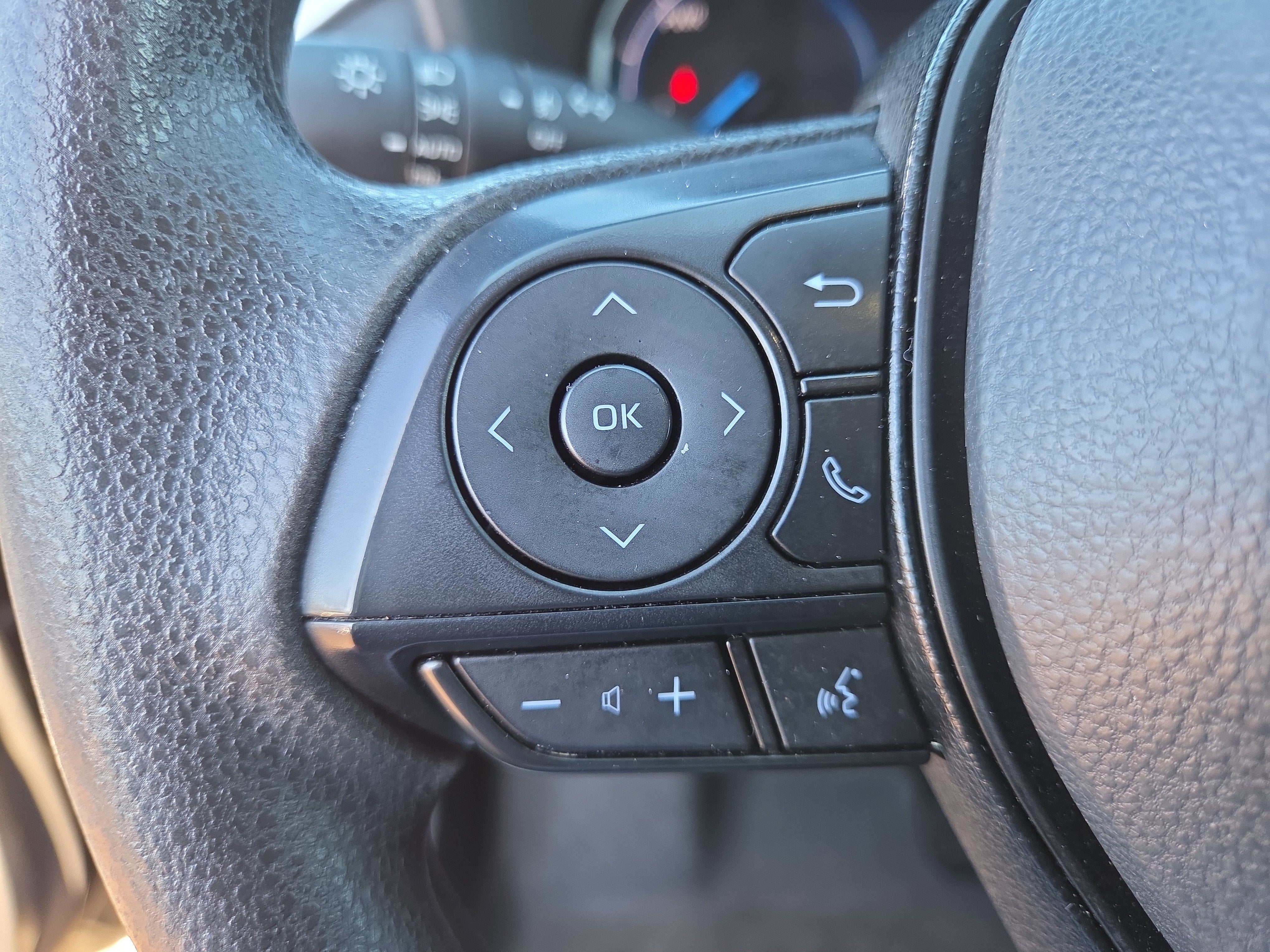 2024 Toyota RAV4 Hybrid Woodland