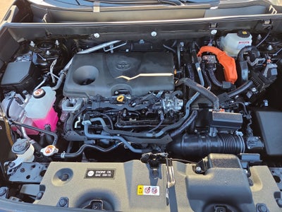 2024 Toyota RAV4 Hybrid Woodland