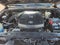 2014 Toyota Tacoma 4WD Double Cab V6 AT (Natl)