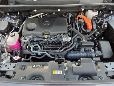 2025 Toyota RAV4 Hybrid XLE