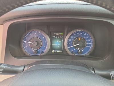 2019 Toyota Sienna XLE