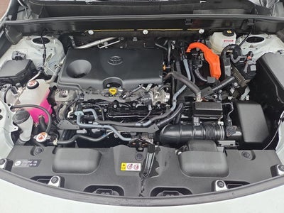 2024 Toyota Venza XLE