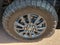 2025 Toyota Land Cruiser 4WD (Natl)