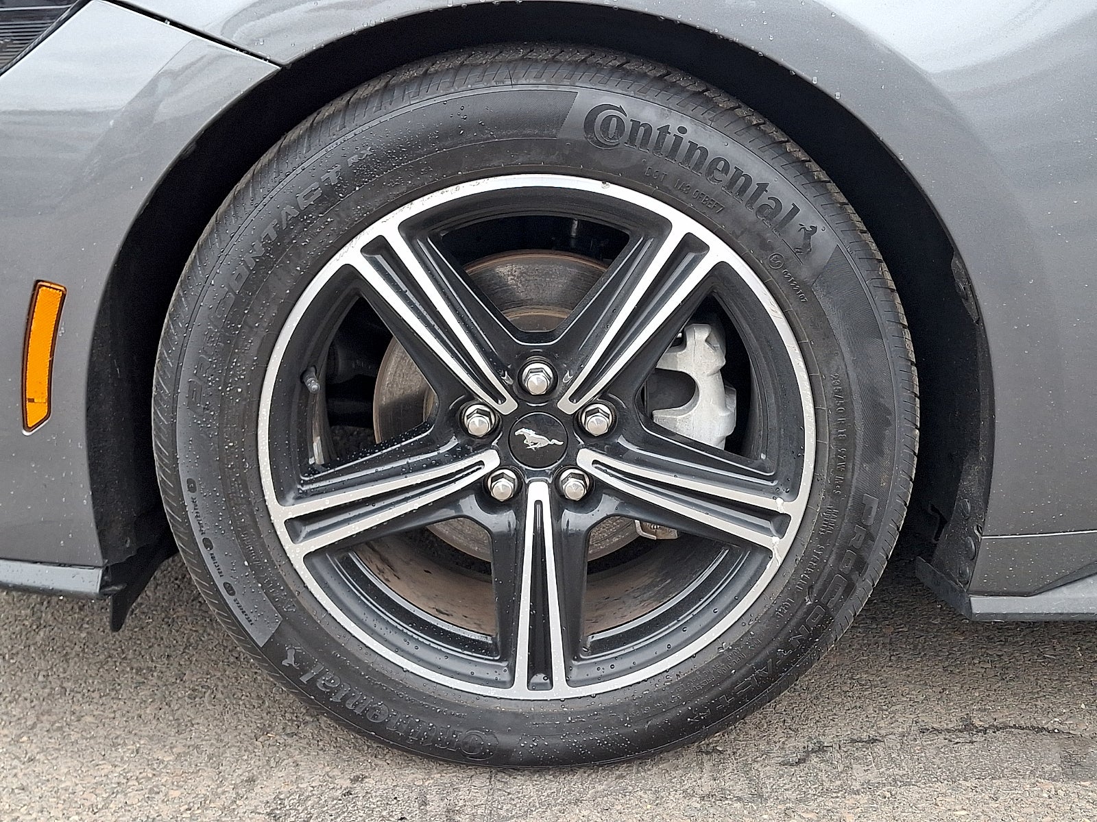 2024 Ford Mustang EcoBoost Fastback