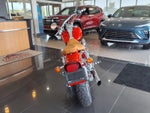 2001 HARLEY DAVIDSON 1 CHROME